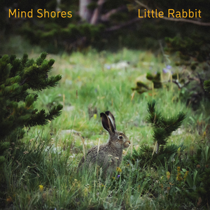 91女友口爆吞精合集
