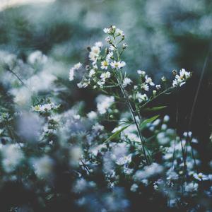 91女友口爆吞精合集
